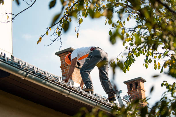 Best Sealant for Roof  in Foresthill, CA