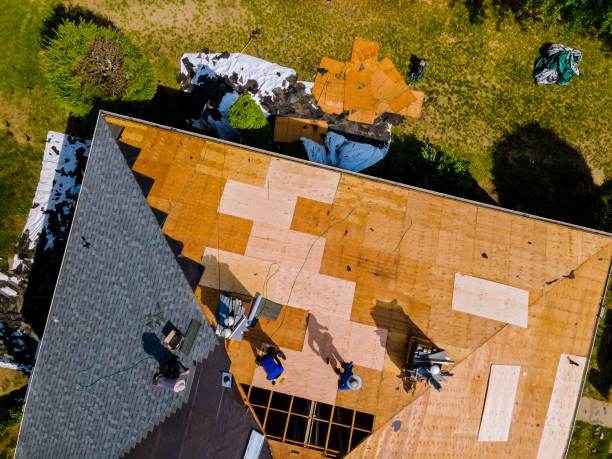 Professional Roofing Contractor in Foresthill, CA