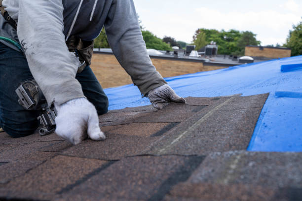 Best Emergency Roof Repair  in Foresthill, CA