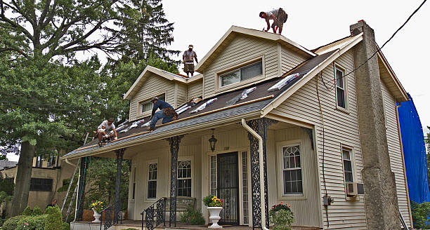 Roof Gutter Cleaning in Foresthill, CA